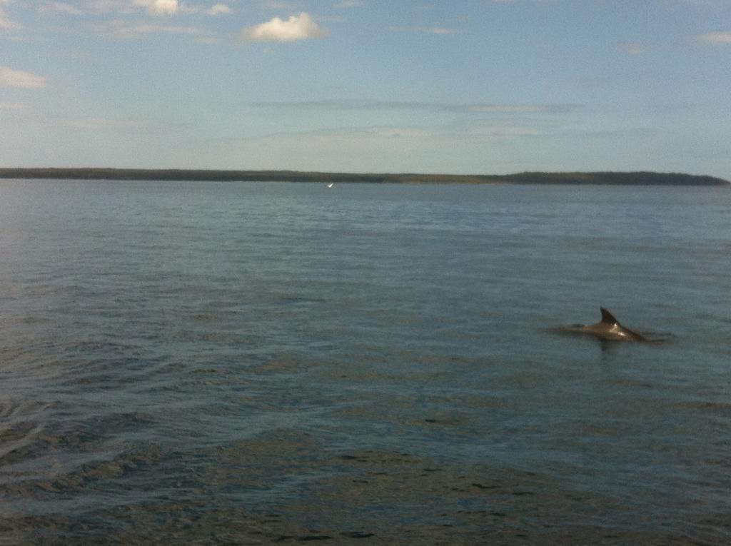Jervis Bay Mariners Μοτέλ Huskisson Εξωτερικό φωτογραφία